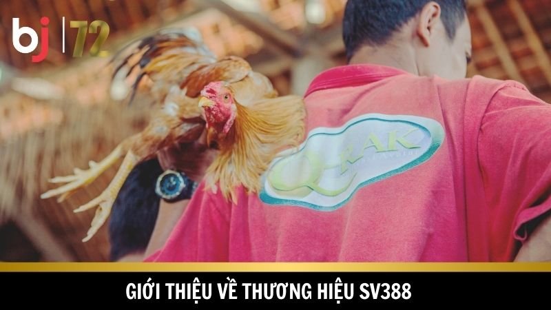 SV388 dẫn đầu xu hướng cá cược đá gà hiện nay 