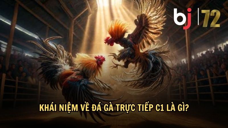 Khái niệm về đá gà trực tiếp C1