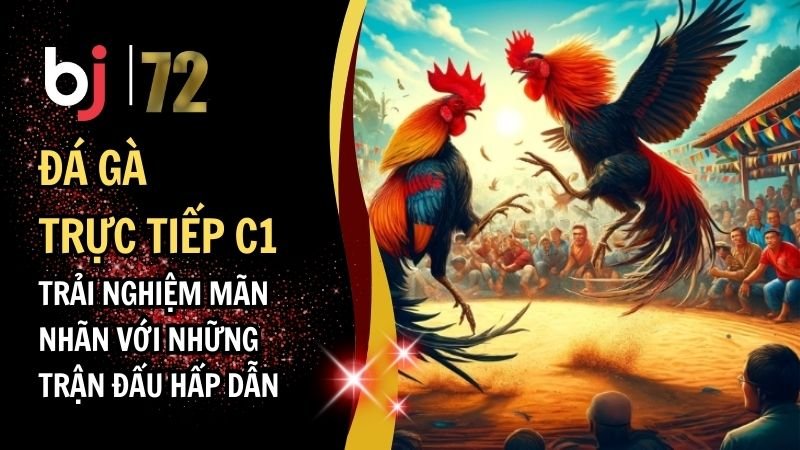 Đá Gà Trực Tiếp C1 – Trải Nghiệm Mãn Nhãn Với Những Trận Đấu Hấp Dẫn